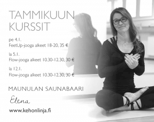 Tammikuun kurssit 2019